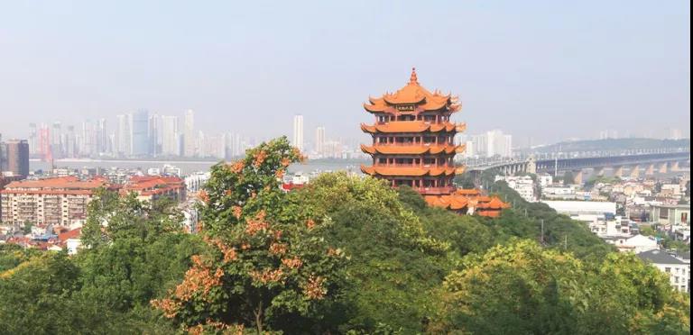 1636012574391.jpg 551.jpg