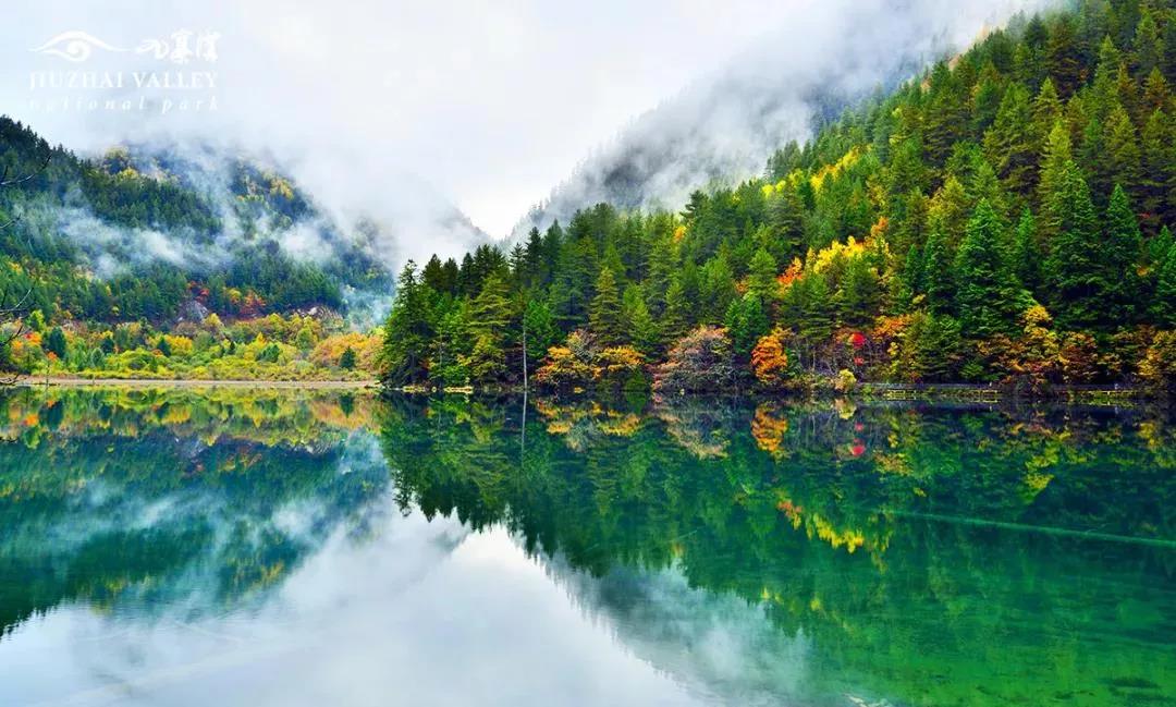 1636013156301.jpg 581.jpg